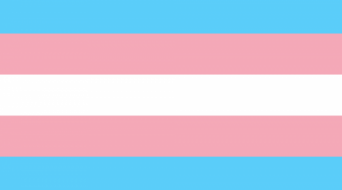 2000px-Transgender_Pride_flag.svg_-720×400