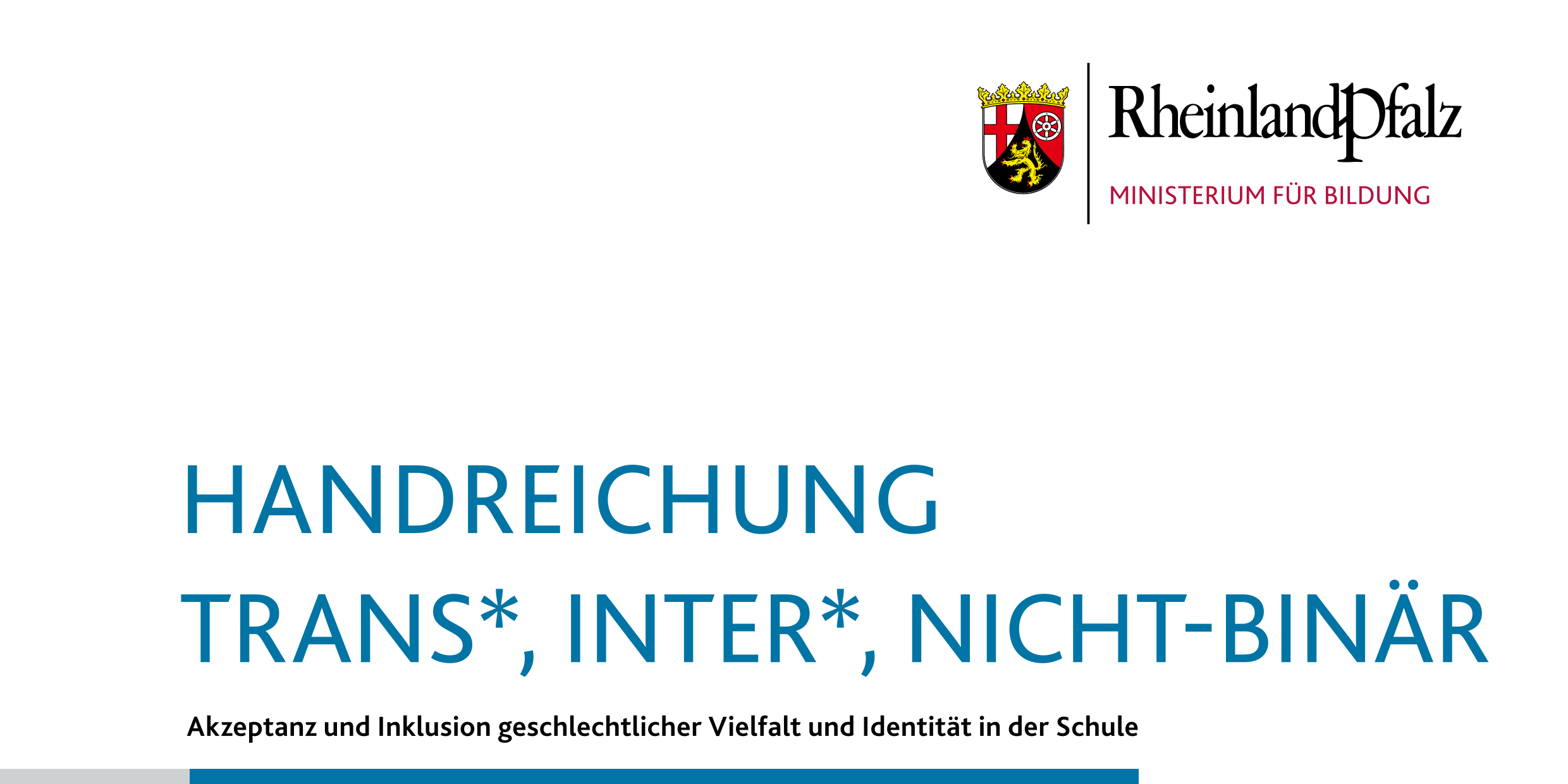 TIN Handreichung Schule 2zu1